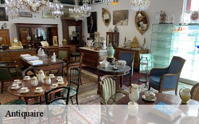 Antiquaire Maine-et-Loire