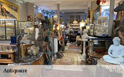 Antiquaire Maine-et-Loire